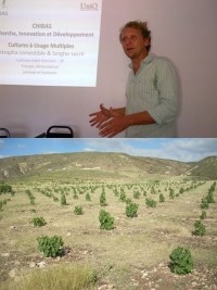 Haiti - Agriculture : Towards one of the largest agro-industrial sectors of Haiti