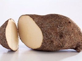 Haiti - Agriculture : Yams strategic resource generator of foreign currency...