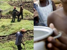 Haiti - Agriculture : Purchase of more than 12,000 tons of local products
