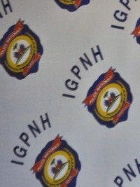 Haïti - Sécurité : 989 enquêtes sur des policiers en 2015