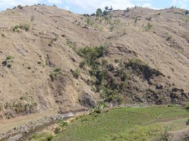 Haïti - Environnement : Projet d'Action Contre la Désertification