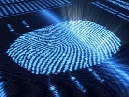 Haïti - Élections : Identification biométrique des électeurs plus de détails