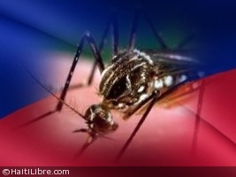 Haiti - Health : First case of microcephaly confirmed in Haiti