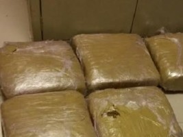 Haïti - RD : Deux haïtiens arrêtés pour trafic de stupéfiant à la frontière