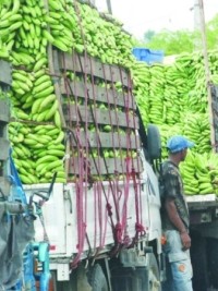 Haiti - DR : Haitian customs retain Dominican trucks at the border