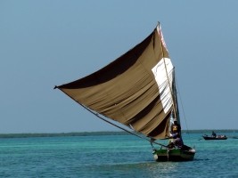 Haïti - Environnement : Présentation du Plan de gestion du Parc National des Trois Baies 