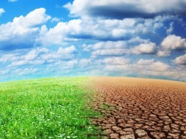 Haïti - Environnement : Changement climatique, le PNUD plaide pour Haïti