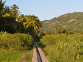 Haïti - Environnement : Projet de 3,5 millions d’Euros pour le département du Sud