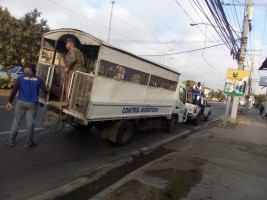 Haïti - RD : Des centaines d'haïtiens arrêtés à Santiago et déportés
