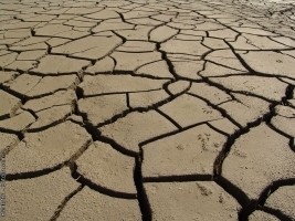 Haïti - Environnement : La désertification ronge le pays...