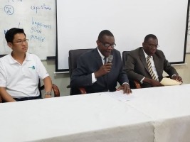 Haïti - Agriculture : La production nationale de riz ne dépasse pas 25% des besoins !