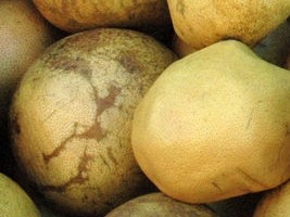 Haiti - Petit-Goâve : 5 members of a family victims of a poisoned chadèque juice