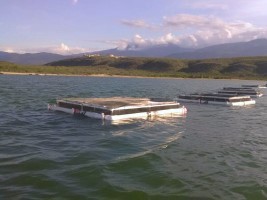 Haiti - Agriculture : Aquaculture next pillar of food production in the country