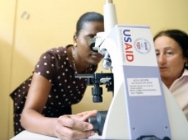 Haïti - Agriculture : 3 laboratoires de pathologie végétale au service des agriculteurs