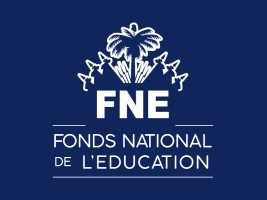 Haiti - FLASH : What did the FNE do with tax money from the diaspora in 2020 ?