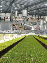 Haiti - Agriculture : New agro-industrial export free zone