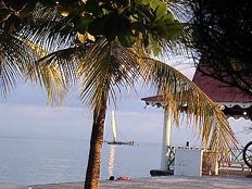 Haiti - Economy : Suggestions of the Dominican tourism operators