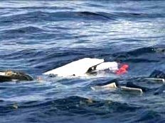Haiti - Social : Another tragedy of the sea...