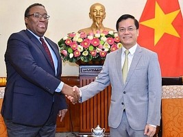 Haïti - Vietnam : Vers un renforcement de la coopération