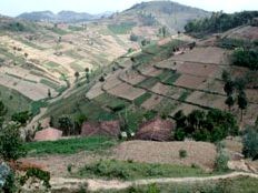 Haïti - Environnement : Projet binational de réhabilitation du bassin versant du fleuve Artibonite