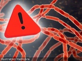 Haiti - ALERT : Anthrax, Haiti takes the first health measures