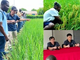 Haiti - Taiwan : Workshop on the production of high-quality rice seeds