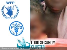 Haiti - Crisis : Food security, monitoring of the humanitarian response