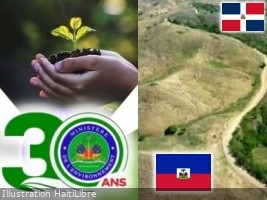 Haiti - Environment : Meeting the challenge of deforestation in the country