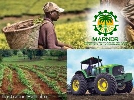 Haiti - Agriculture : The agricultural sector faces structural and cyclical challenges