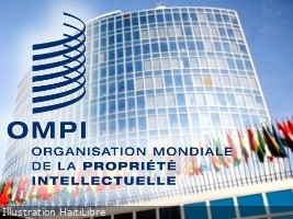 Haiti - FLASH : WIPO Global Prizes 2026, Call for Nominations