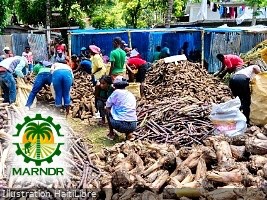 The agroforestry fair in Limbé keeps its promises