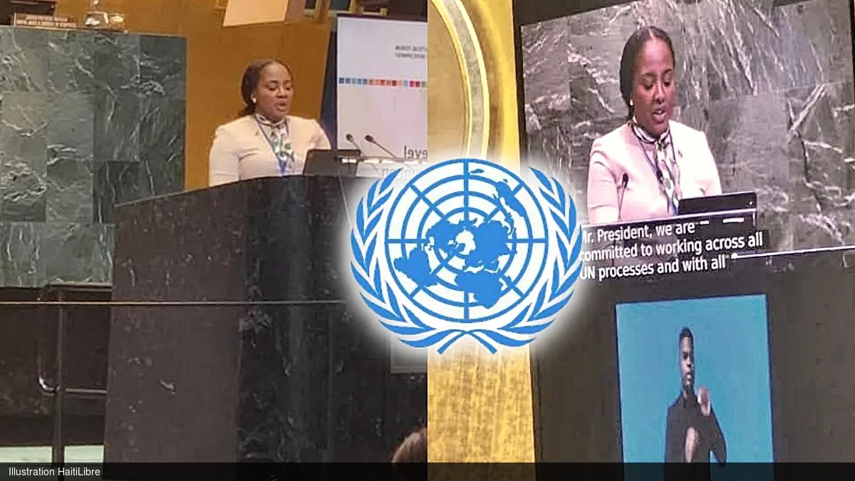 Haiti - New York : Minister Paulemon pleads for accelerating the implementation of the SDGs