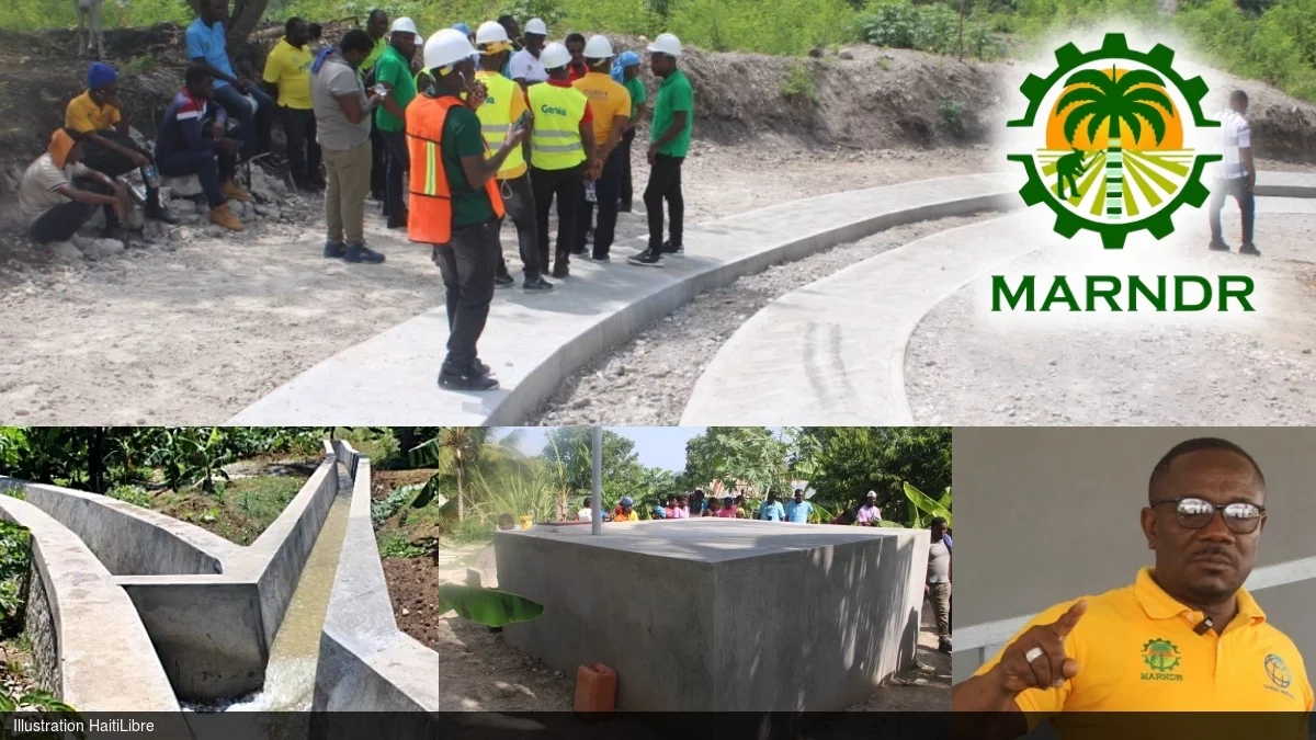 Haïti - Agriculture : Le Ministère transforme le paysage rural