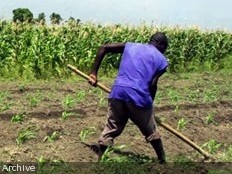 Haiti - Agriculture : 94 young graduates in agricultural techniques