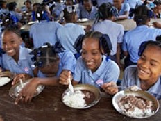 Haiti - Education : New coordinator at the head of PNCS