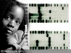 Haiti - Social : DNA Test and responsible fatherhood