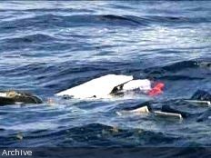 Haiti - Social : The boat «Patience», sank into the Gulf of Gonâve
