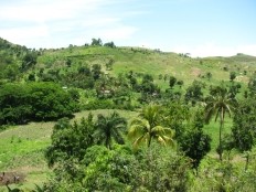 Haïti - Social : «Environnement et développement en Haïti»