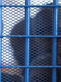 Haiti - Justice : 95% of inmates at  National Penitentiary are incarcerated without trial...