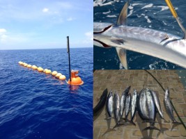 Haiti - Agriculture : Modernization of artisanal fisheries