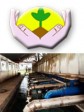 Haiti - Economy : Significant material damage to Frager plant, of vetiver oil extraction