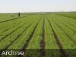 Haïti - Agriculture : Augmenter la production et les revenus des agriculteurs...