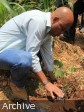 Haïti - Environnement : Lancement de la Phase II de la campagne nationale de reboisement
