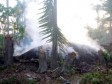 Haïti - Environnement : Des haïtiens déboisent illégalement la zone frontalière dominicaine