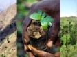 Haïti - Environnement : 2,8 millions d’euros pour 7 projets frontaliers