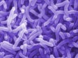 Haiti - Health - ALERT : At least 50 dead, cholera epidemic ?