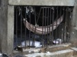 Haiti - Prisons : In the land of the great escapes...
