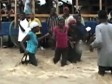 Haiti - Hurricane : Provisional assessment of the situation