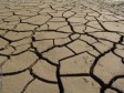 Haïti - Agriculture : Sécheresse, situation d’urgence