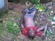 Haiti - Elections : Confrontation Célestine-Baker, 3 deaths and several injured